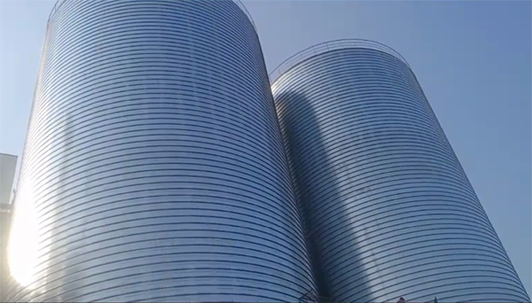 公主岭2座混凝土高架卷板仓